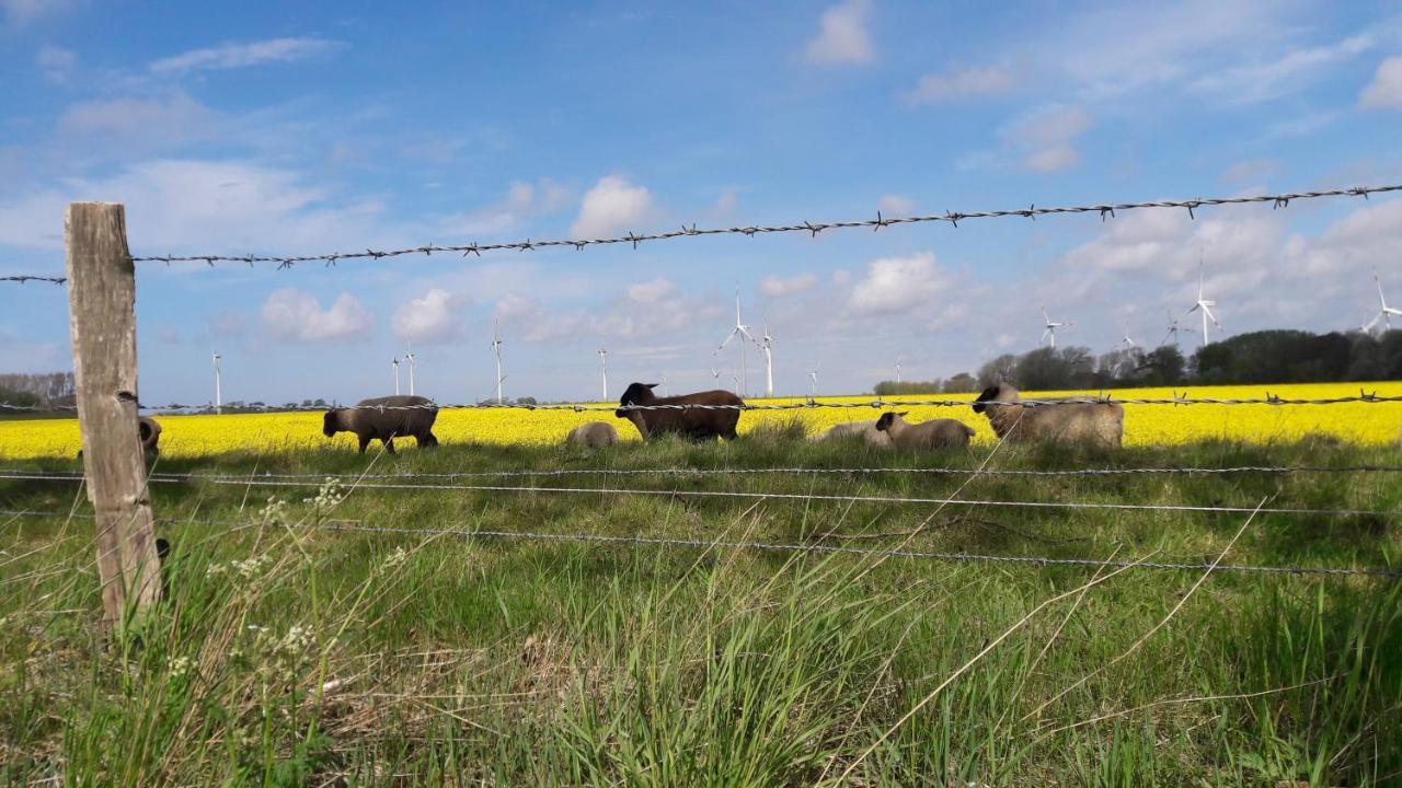 Ferienwohnung Wattkieker Büsum Esterno foto